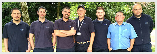 Surrey Pest Control Team